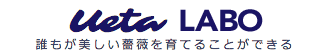 Ueta LABO
