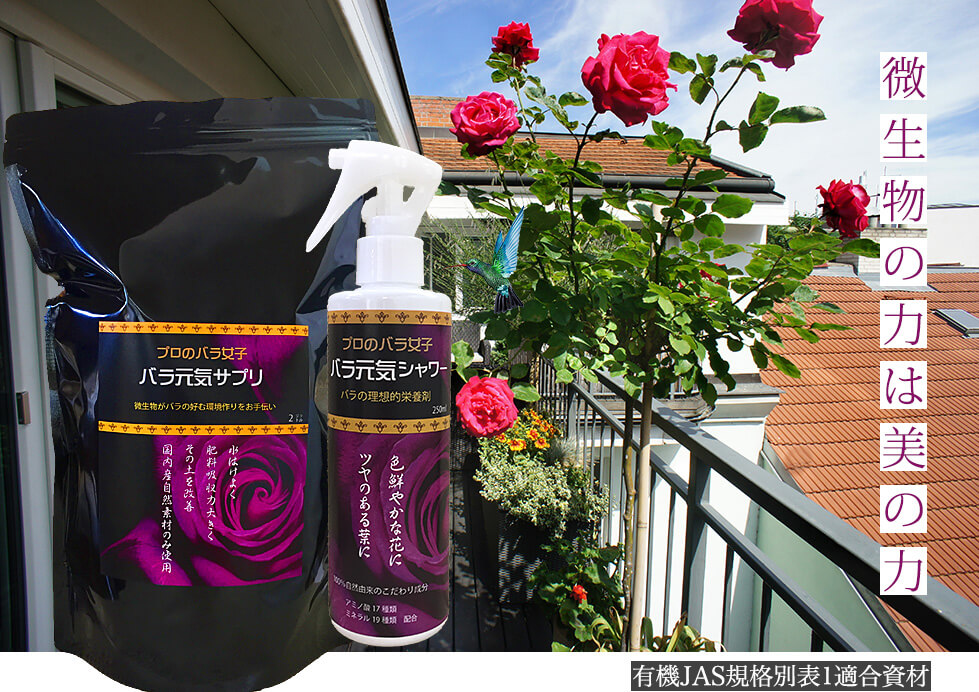 バラ女子シリーズ *