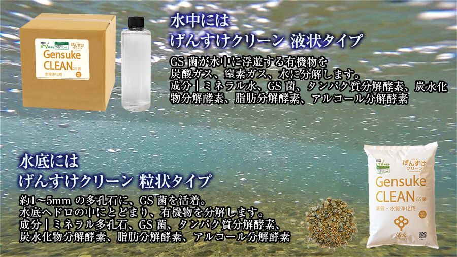 水中にはげんすけクリーン 液状タイプ。水底にはげんすけクリーン 粒状タイプ。